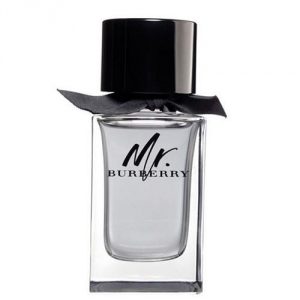 Burberry MR. BURBERRY men 100ml TEST (thumb59646)