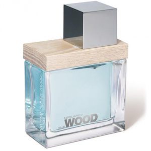 Dsquared2 CRISTAL CREEK 100ml edp TEST (thumb60451)